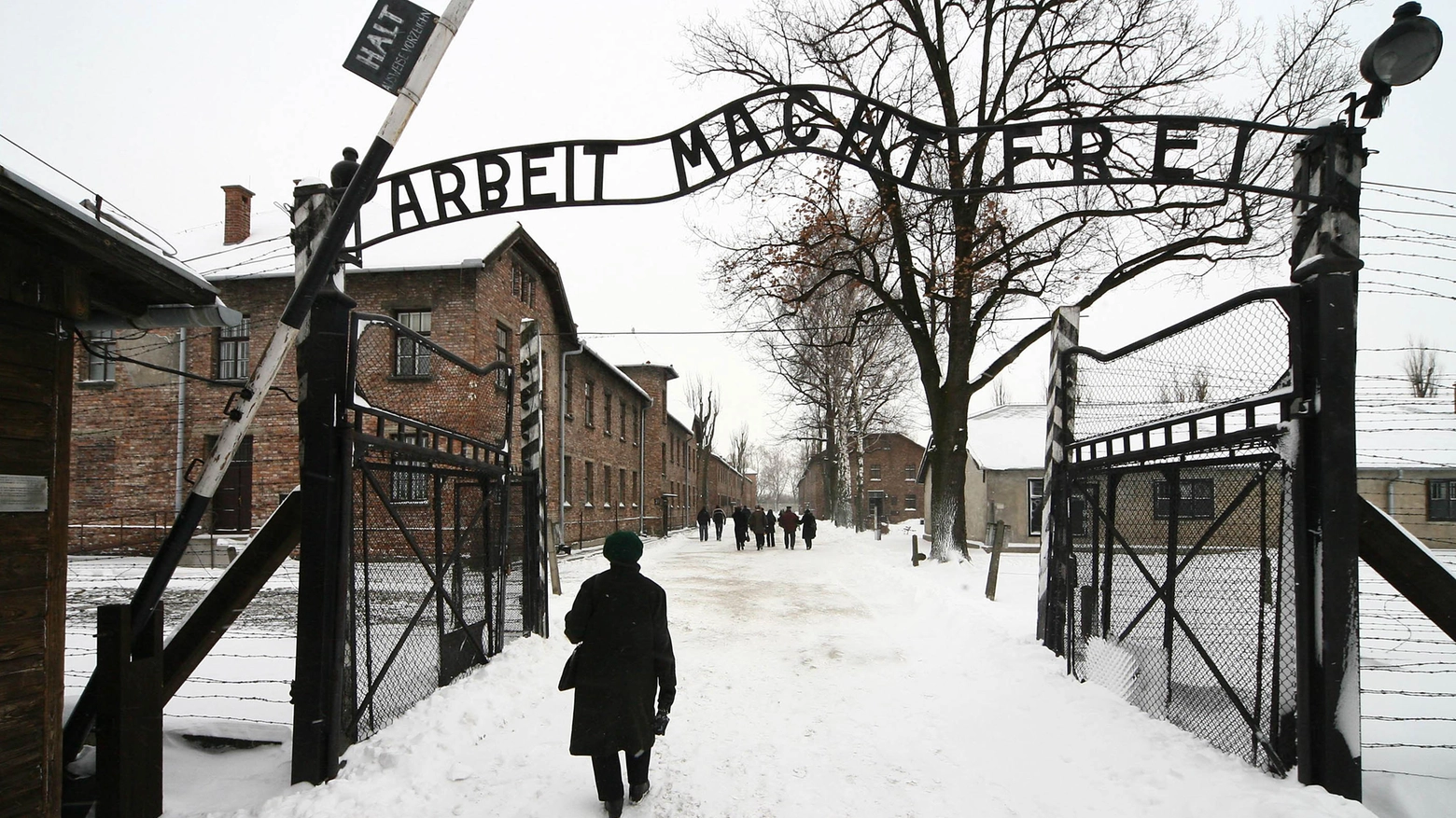 Il campo di concentramento di Auschwitz è stato liberato il 27 gennaio del 1945 (Ansa)