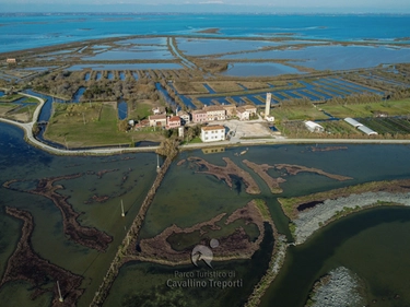 Venezia, in laguna nasce il bosco che moltiplica i pesci