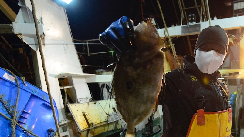 Il ritorno nella notte tra martedì e mercoledì: il pescato venduto al mercato ittico