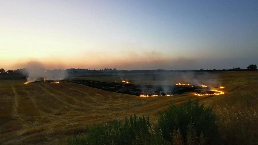L'incendio tra i campi di Zello a Imola