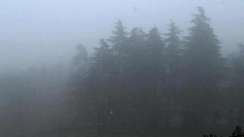 Nebbia a Bologna