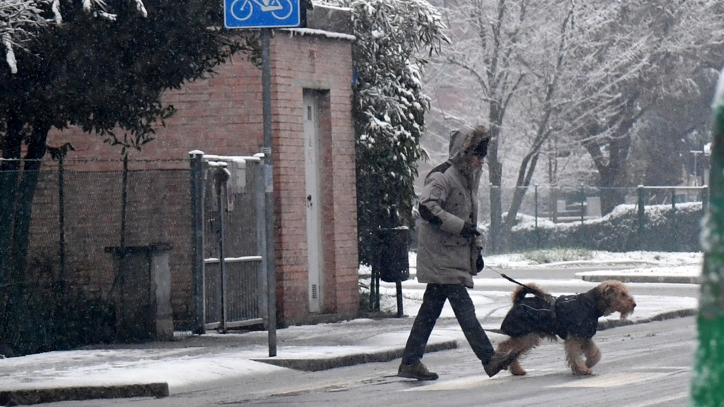 Neve a Bologna (FotoSchicchi)
