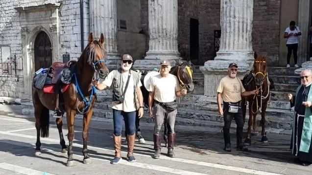 

Pellegrinaggio da Assisi a Loreto con i cavalli: domenica l'arrivo