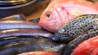 A rischio il nuovo mercato ittico
