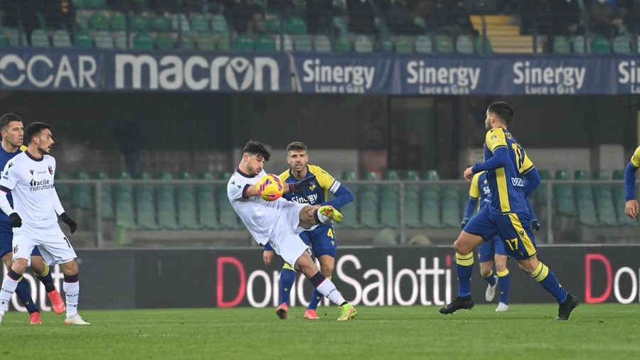 Il bel gol di Orsolini (foto Schicchi)