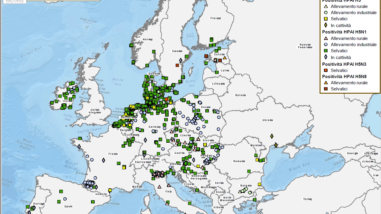 Aviaria, la mappa in Europa al 18 gennaio (Istituto Zooprofilattico delle Venezie)