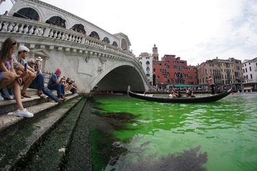 Acqua verde a Venezia in Canal Grande: effetto fluo ancora per qualche giorno