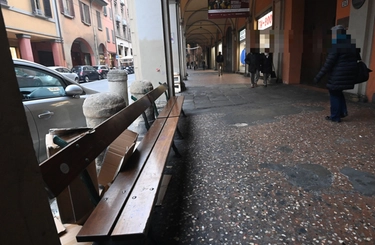 Senzatetto morto in una tenda a Bologna: nuova tragedia della solitudine
