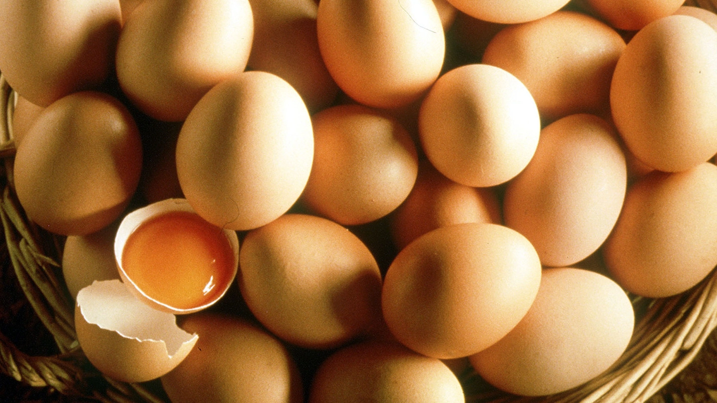 Riccione, un’ordinanza vieta agli esercizi pubblici e alle mense di somministrare alimenti a base di uova crude (Foto LaPresse)