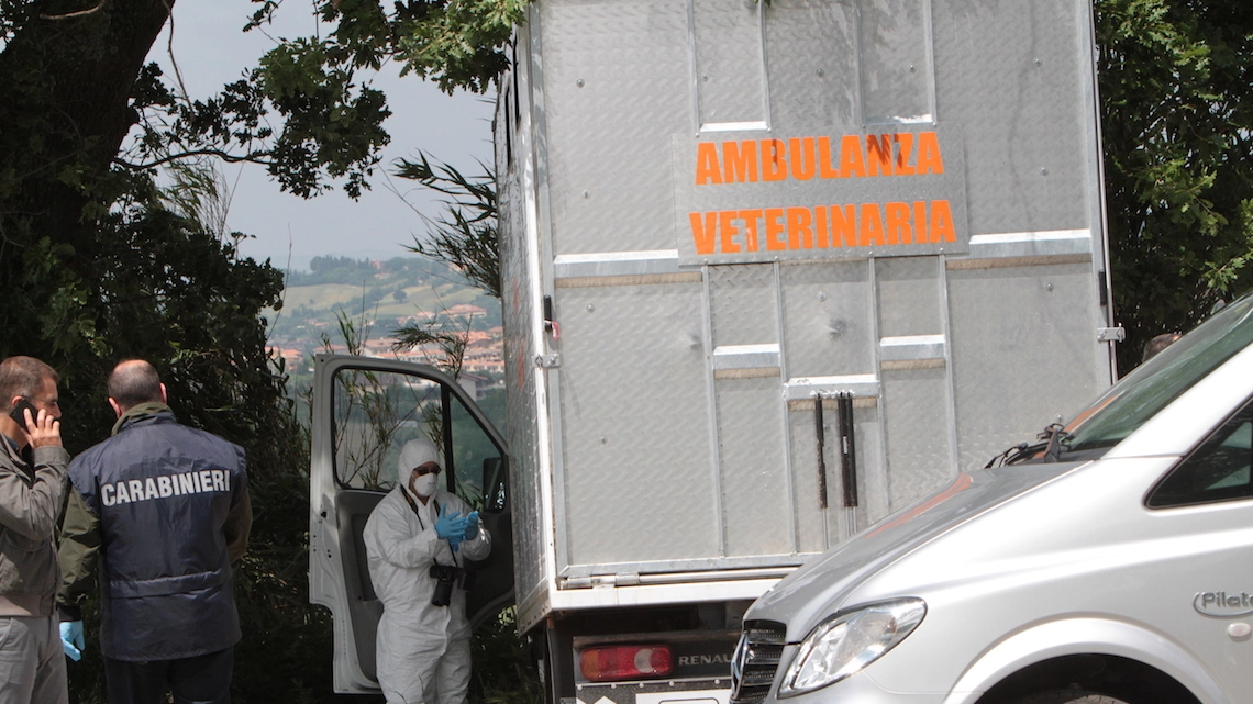 L'mabulanza veterinaria di Olindo Pinciaroli, il veterinario maceratese ucciso a coltellat