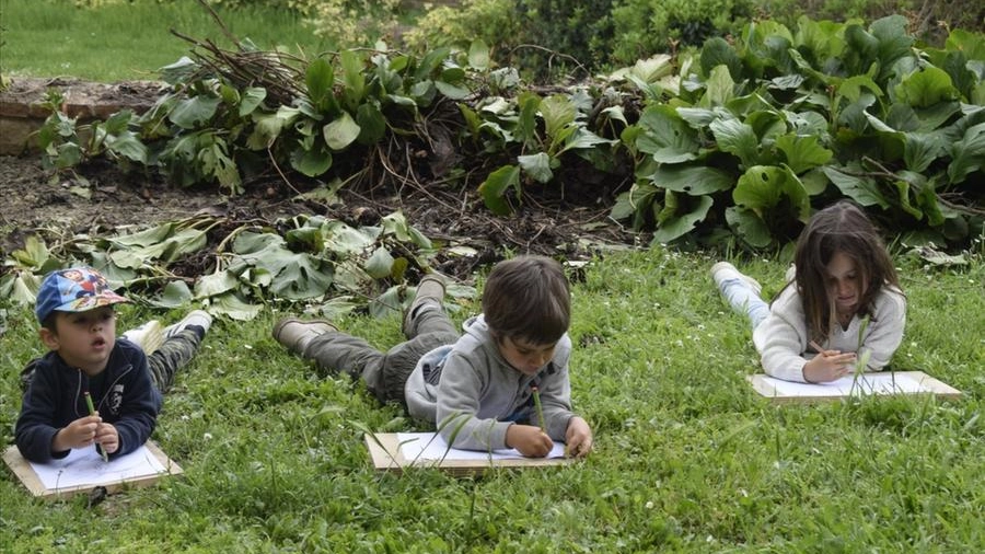 I bambini studieranno la natura all'aperto