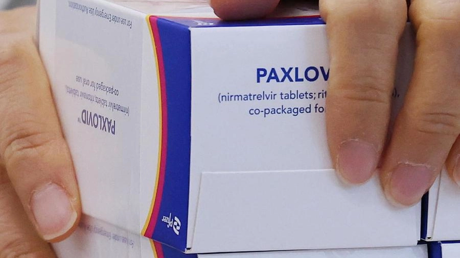Paxlovid, la pillola anti Covid di Pfizer
