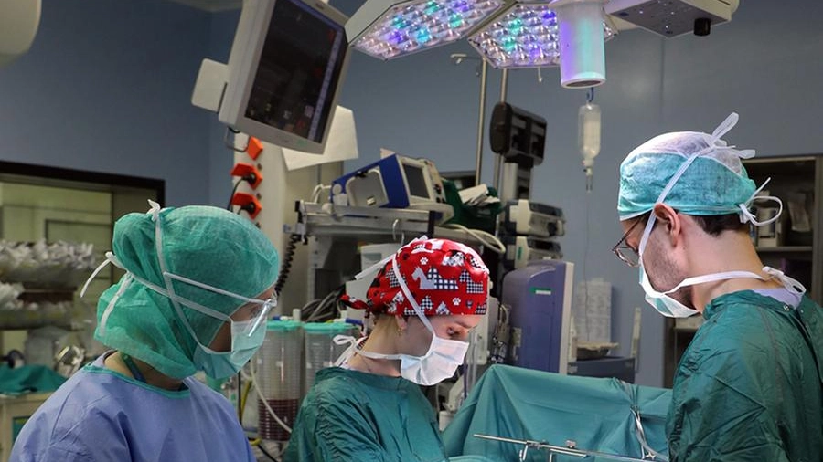 Un’equipe chirurgica al lavoro per un trapianto di organi (foto di repertorio)