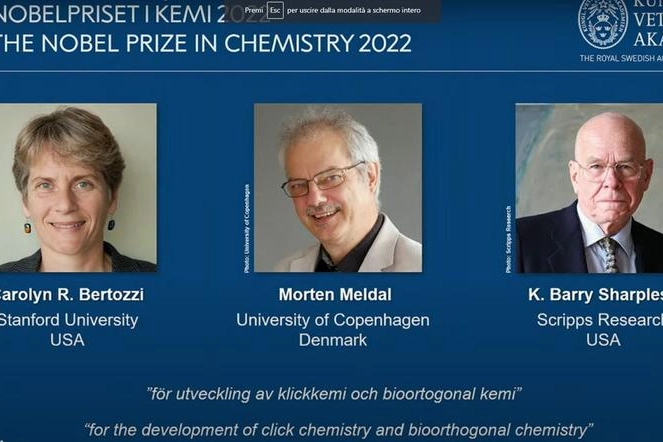 Bertozzi, Meldal e Sharpless premiati con il Nobel per la chimica 2022