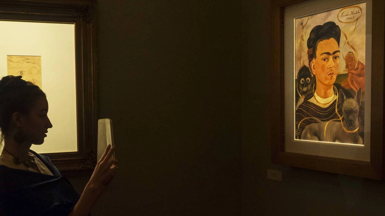 Una visitatrice a una mostra e (in basso) un autoritratto di Frida Kahlo visto alla mostra di Roma. Al centro, Palazzo Albergati di via Saragozza