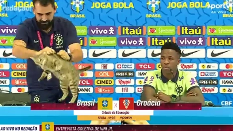 Il momento in cui il gatto viene lanciato dall'addetto stampa del Brasile