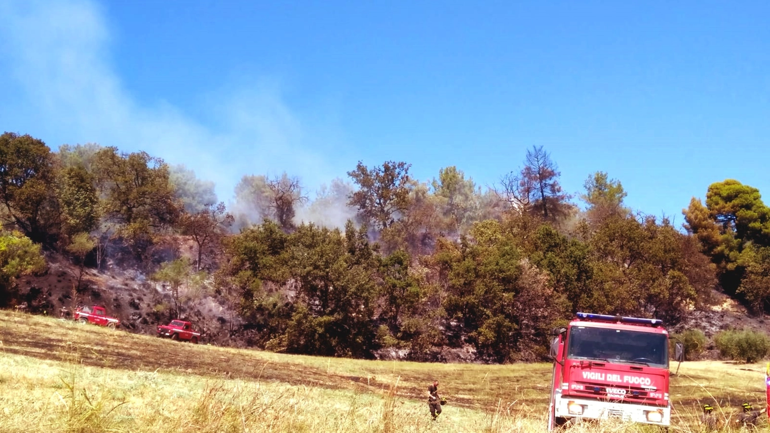 Incendio oggi a Massignano: pompieri al lavoro per ore