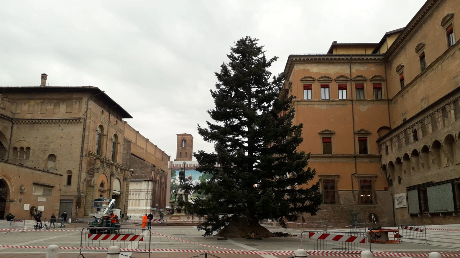 L'albero di Natale in piazza Nettuno (Foto Schicchi)