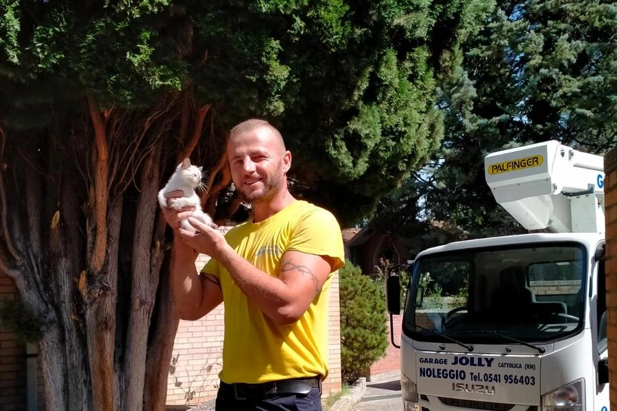 Il gattino recuperato a San Giovanni in Marignano (Rimini)