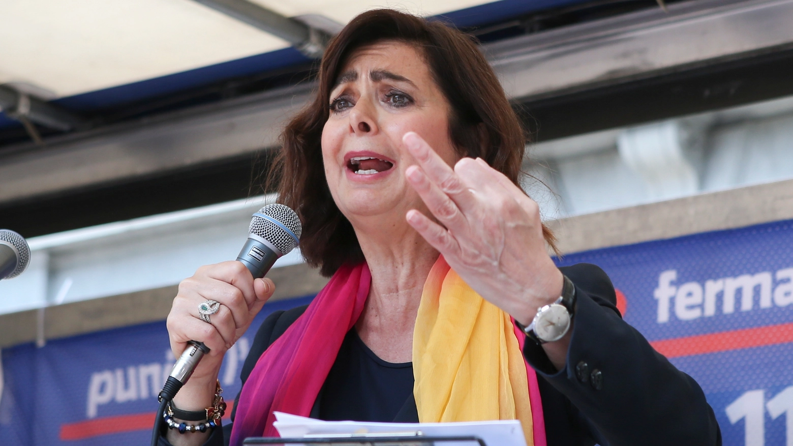 Laura Boldrini ha denunciato gli haters
