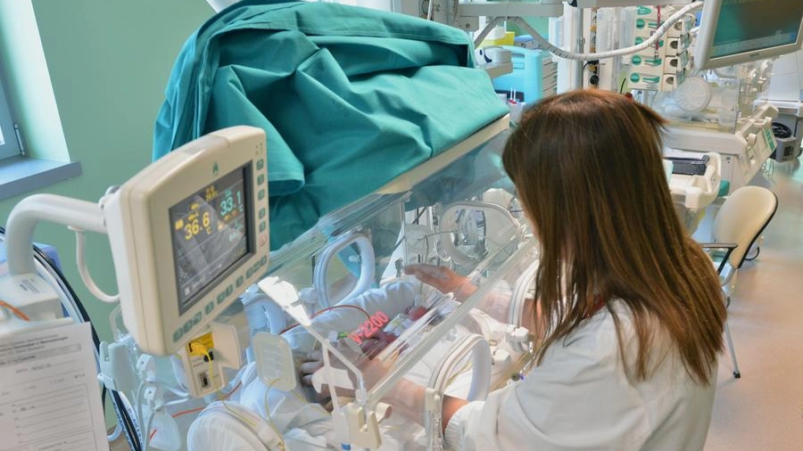 Un reparto di terapia intensiva neonatale (Foto Cusa)