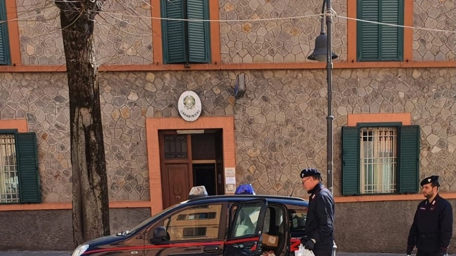 I carabinieri con la spesa (Foto Dire)
