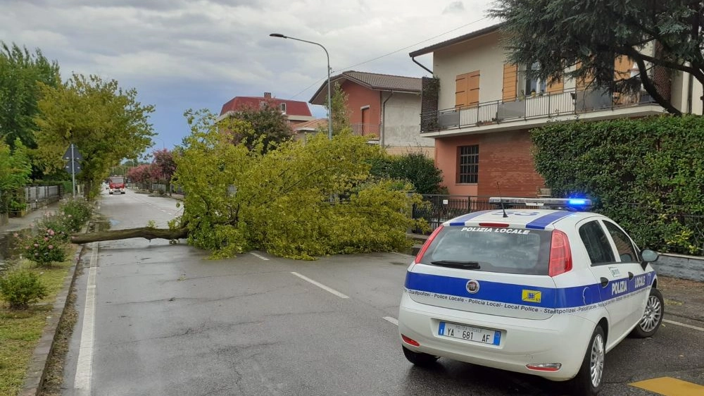 I danni del maltempo a Modena