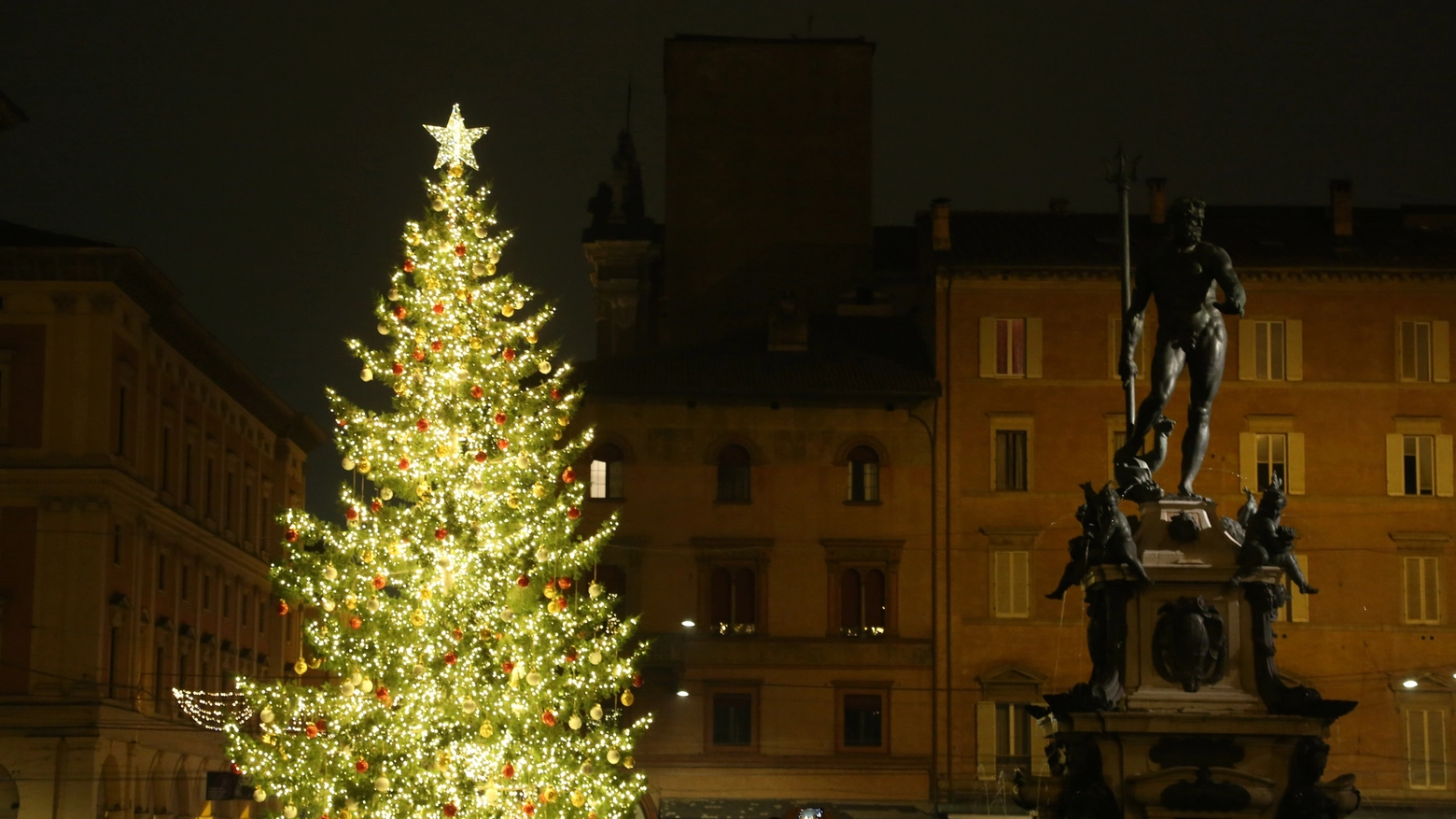 L'albero di Natale acceso in piazza del Nettuno(Foto Schicchi)