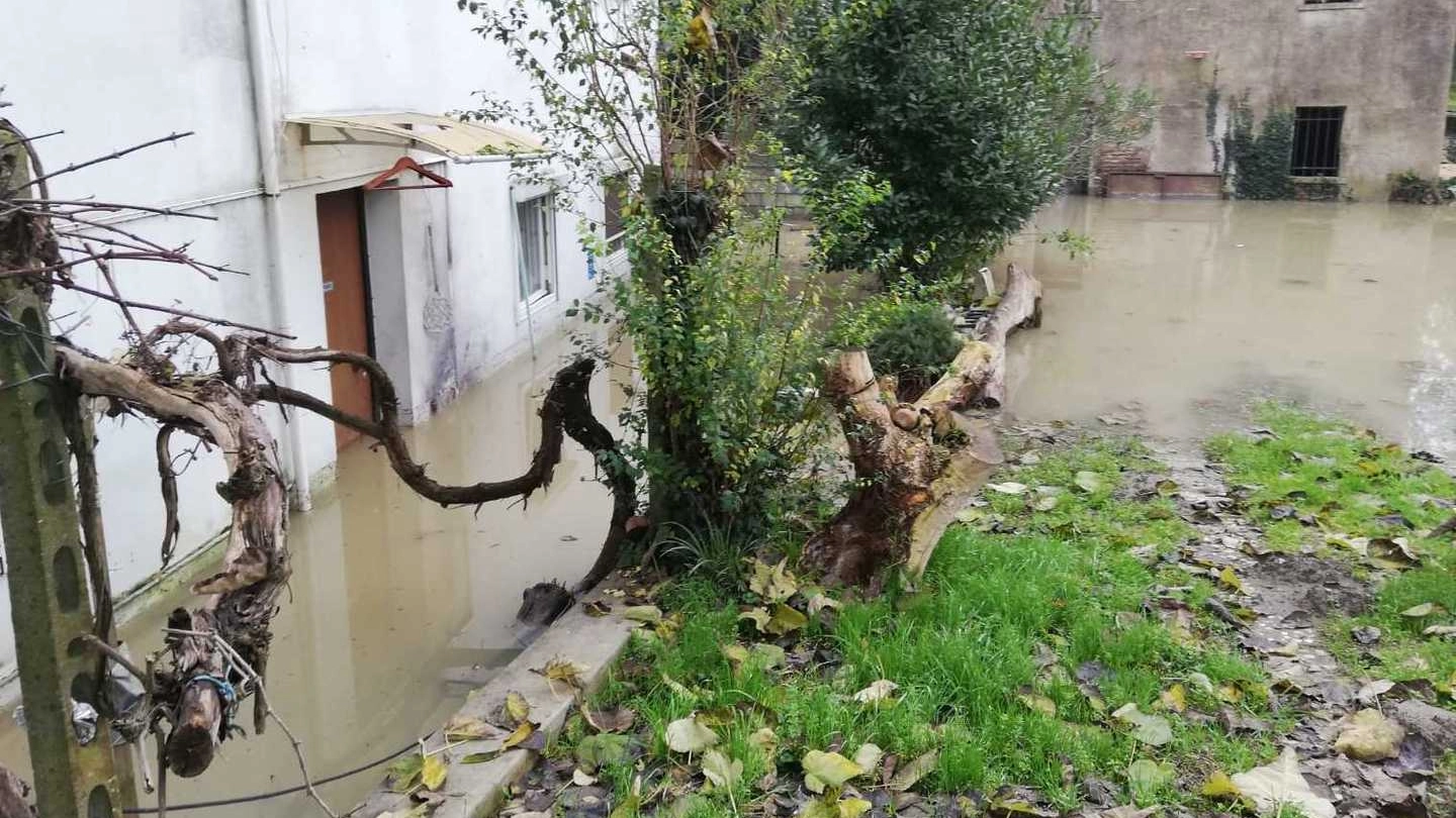 L’acqua ha invaso ieri l'area cortiliva di via Malcantone a Occhiobello