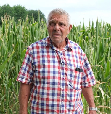 Allarme siccità, a Bologna agricoltura in ginocchio: "La pioggia ora non basta"
