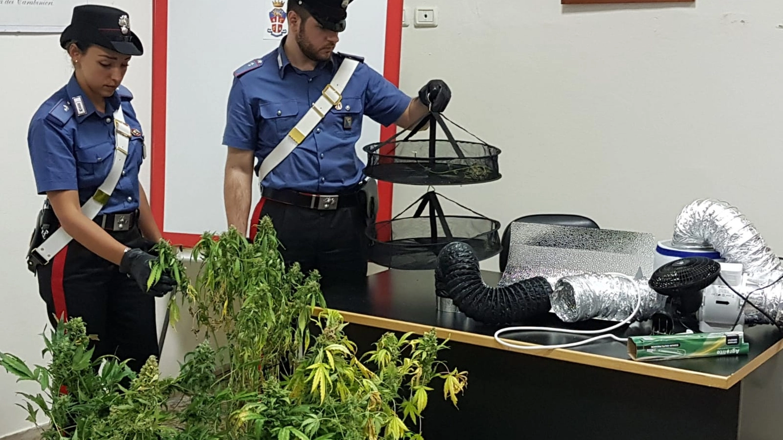 Il sequestro di droga da parte dei carabinieri
