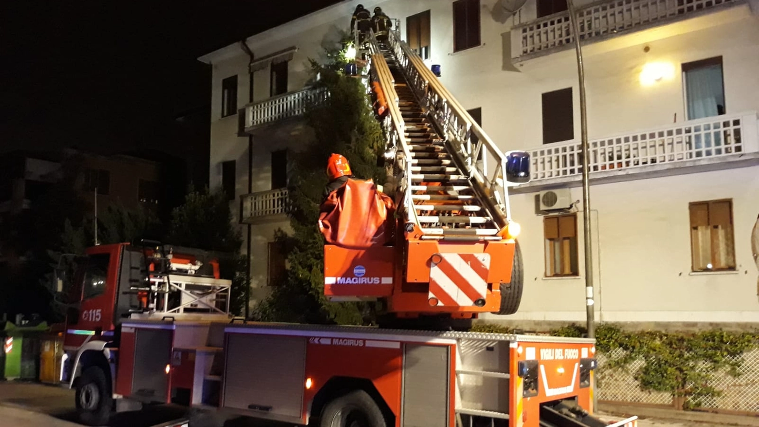 Rovigo, albero caduto: pompieri in via Puccini
