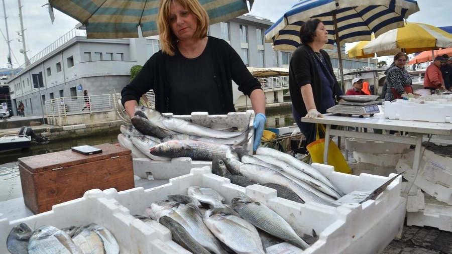 Protesta dei pescatori per il caro gasolio: avremo meno pesce in tavola