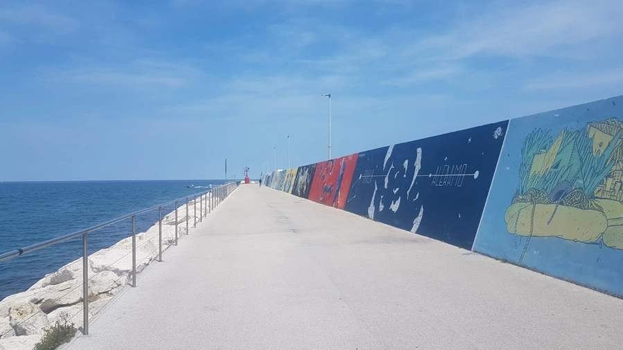 Grand Tour delle Marche: i murales del porto di Civitanova Marche