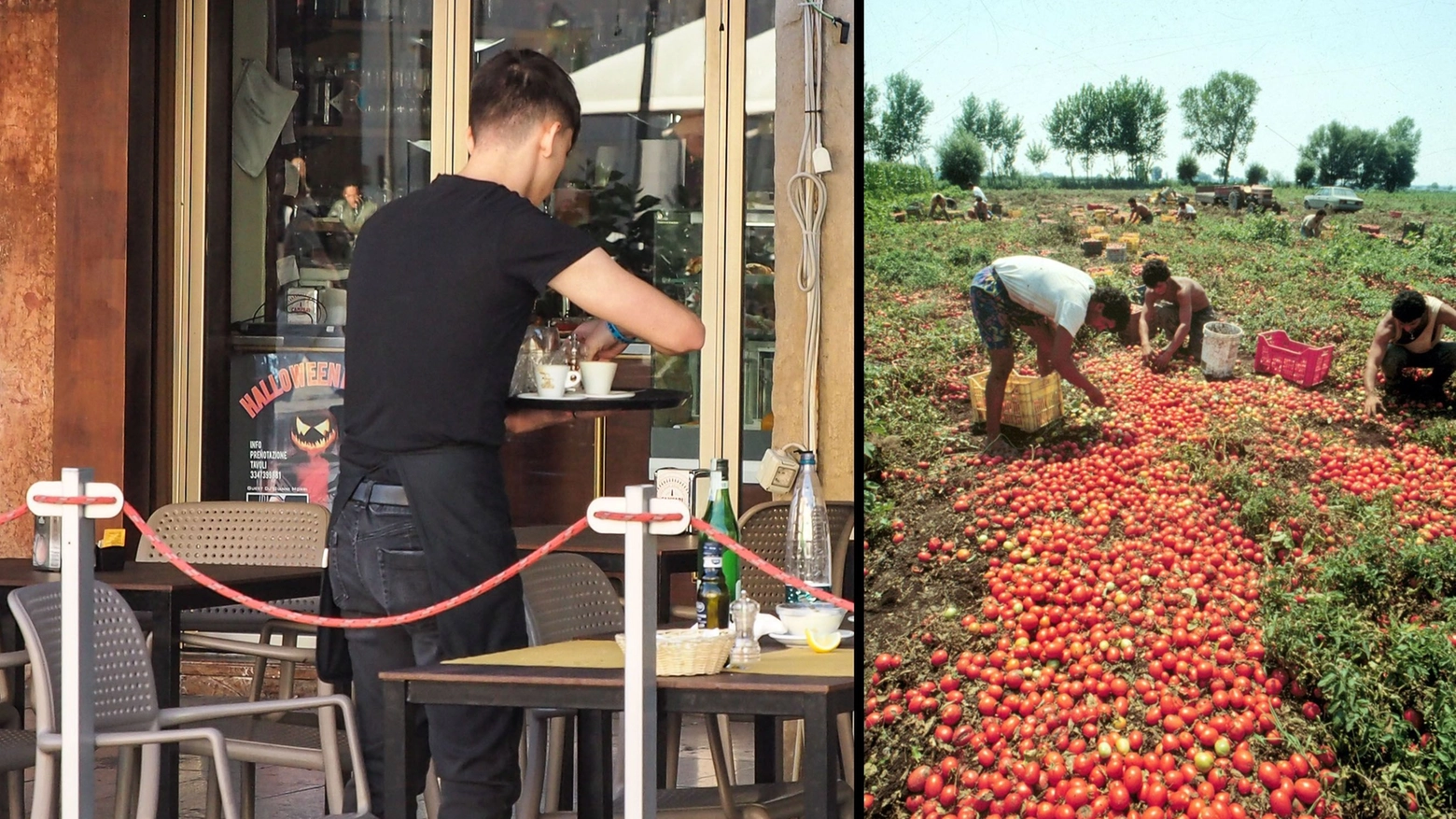 Lavoratori stagionali: “All’Emilia Romagna ne mancano almeno 6mila per l’estate”