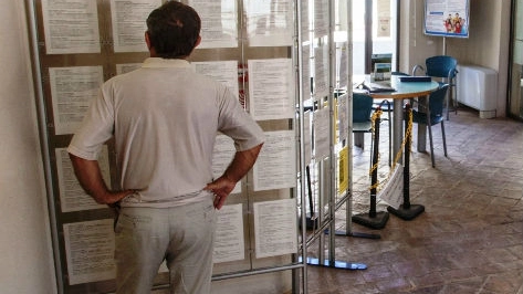 Un utente controlla gli annunci di lavoro al Job di Pesaro 