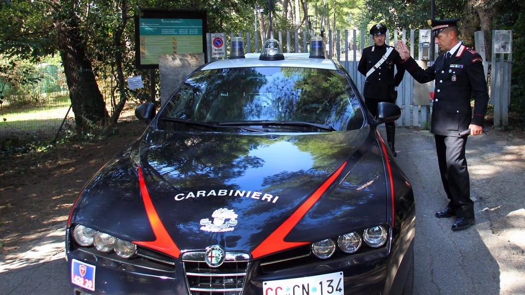 I carabinieri al parco Miralfiore (Fotoprint)