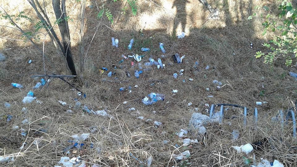 Bottiglie e cartacce abbandonate (Foto Annese)