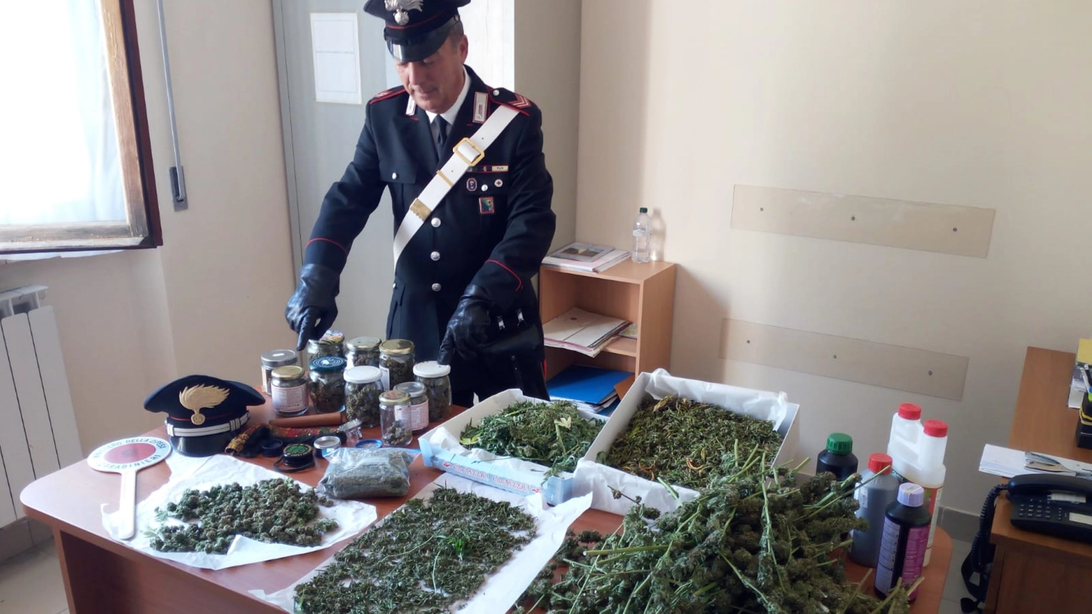 Porto Sant'Elpidio, la marijuana sequestrata dai carabinieri (Foto Zeppilli)