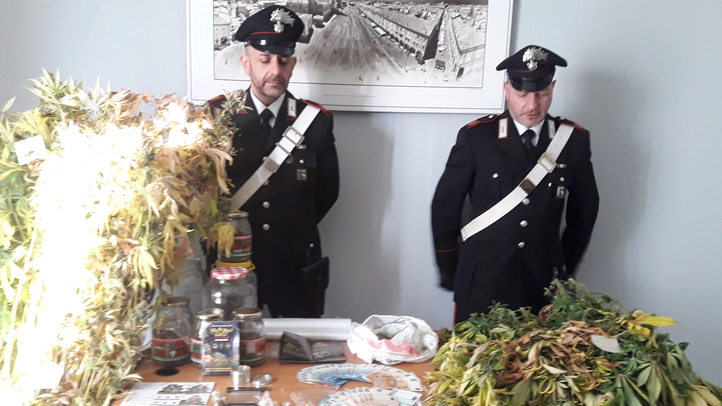 I carabinieri mostrano la marijuana sequestrata