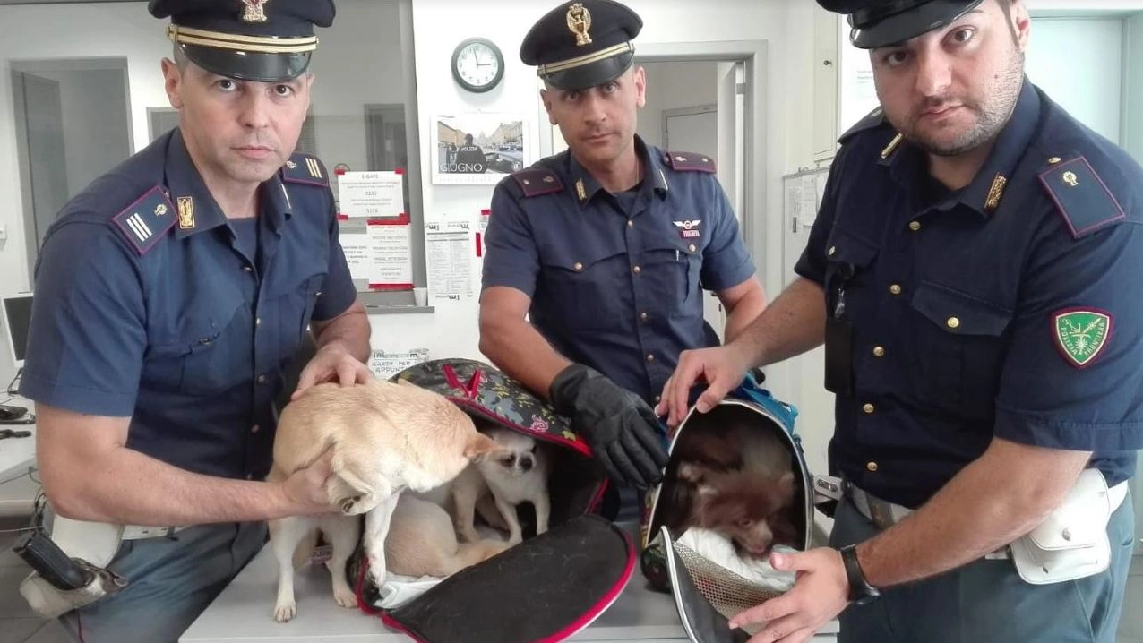 La polizia aeroportuale con i cagnolini salvati