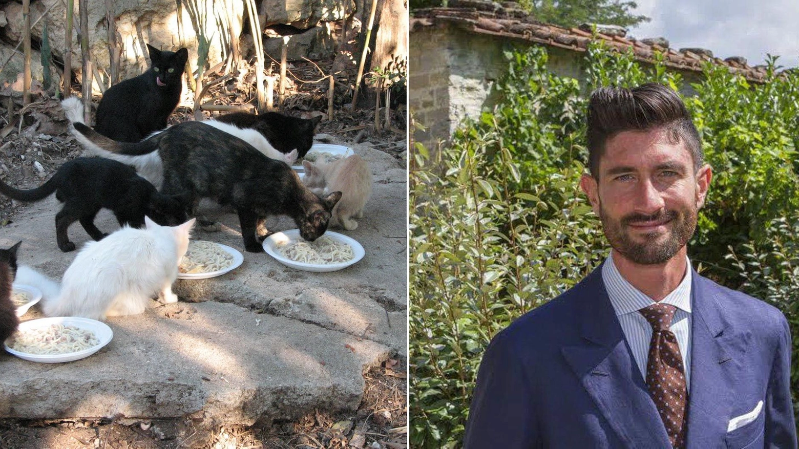 Baccini, sindaco di Bagno di Romagna, pronto ad accogliere 20 gatti