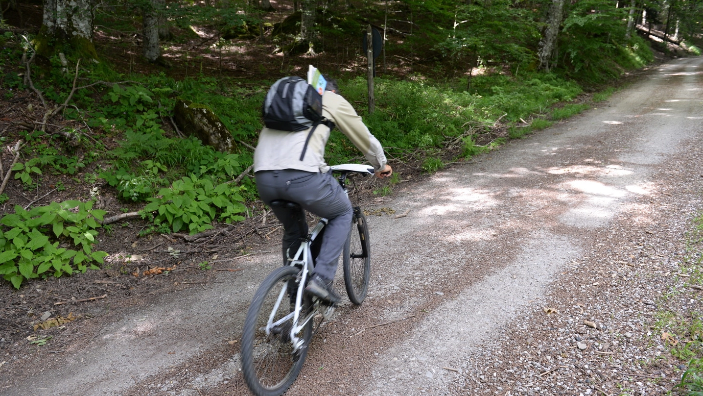 Un cicloturista pedala dentro un bosco (foto d’archivio)