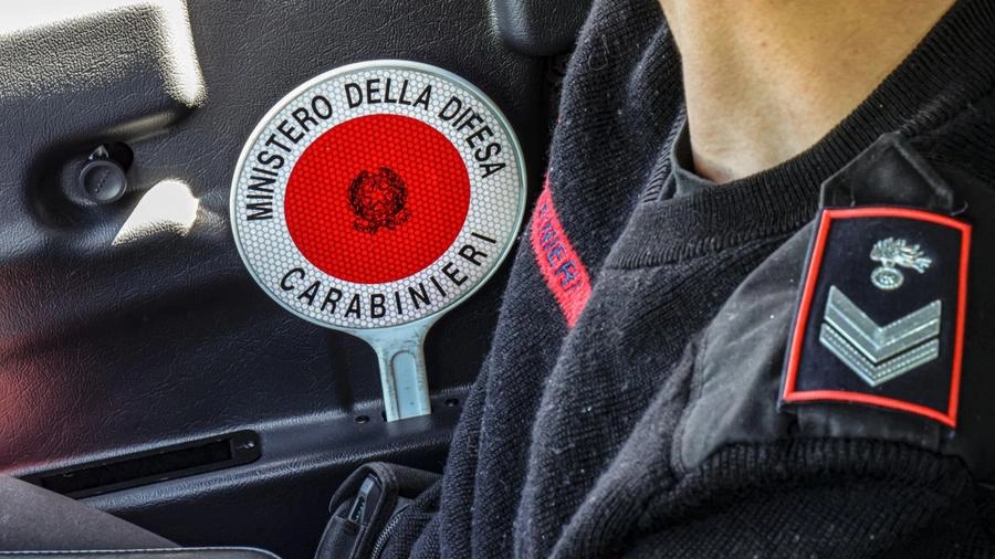 Controlli anti spaccio dei carabinieri a Pesaro