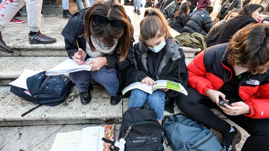 Protesta di studenti contro la didattica a distanza (ImagoE)