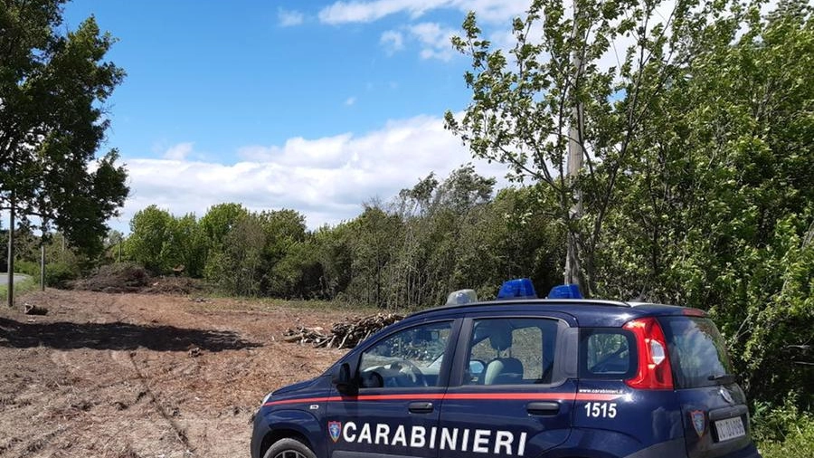 Intervento dei carabinieri forestali