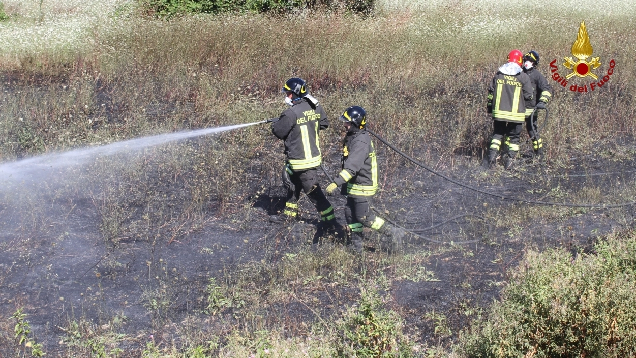 Incendio a Falconara, bruciano sterpaglie: il fumo compromette la viabilità sulla Statale 16