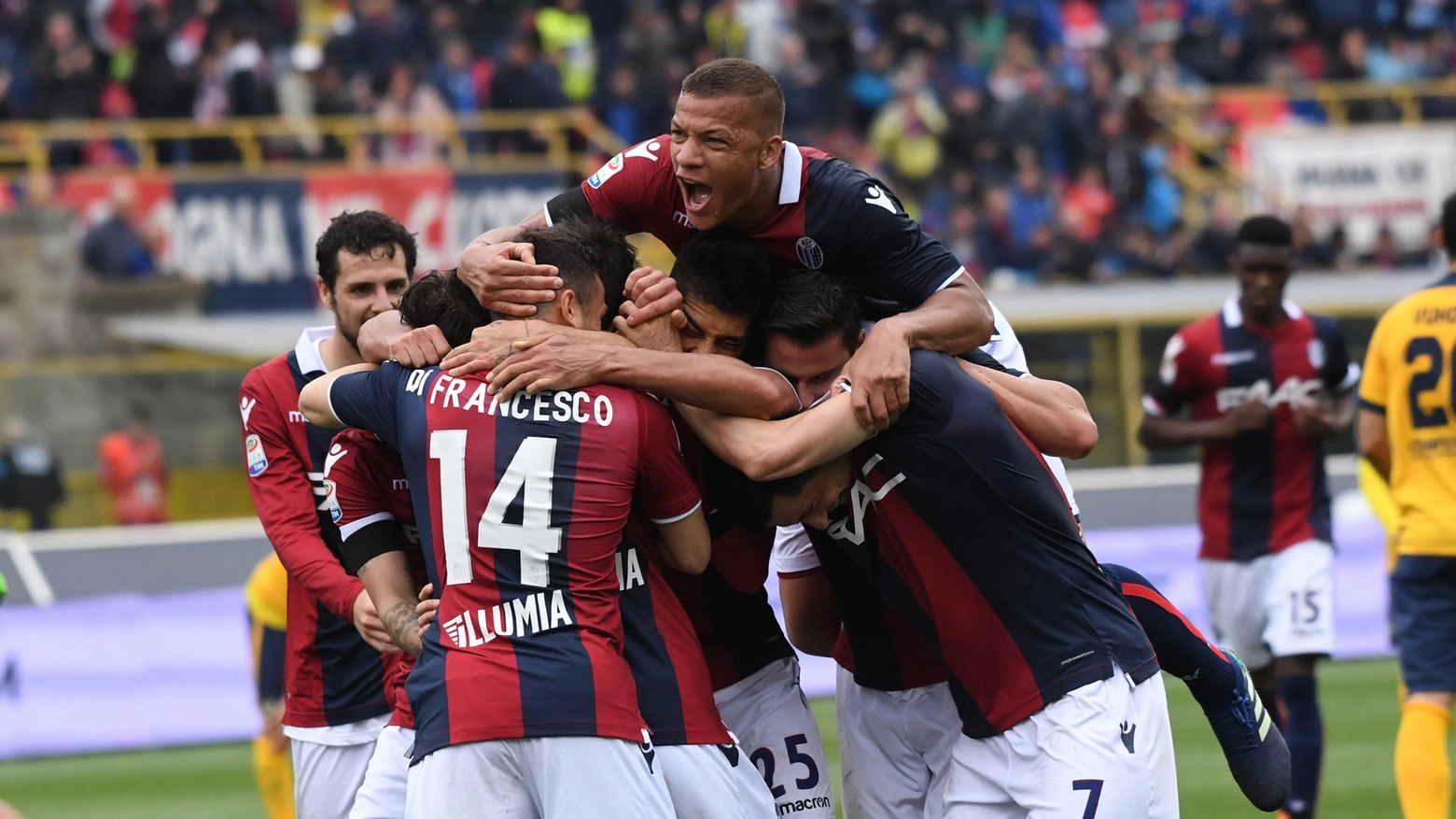 Il Bologna festeggia il gol (foto Schicchi)