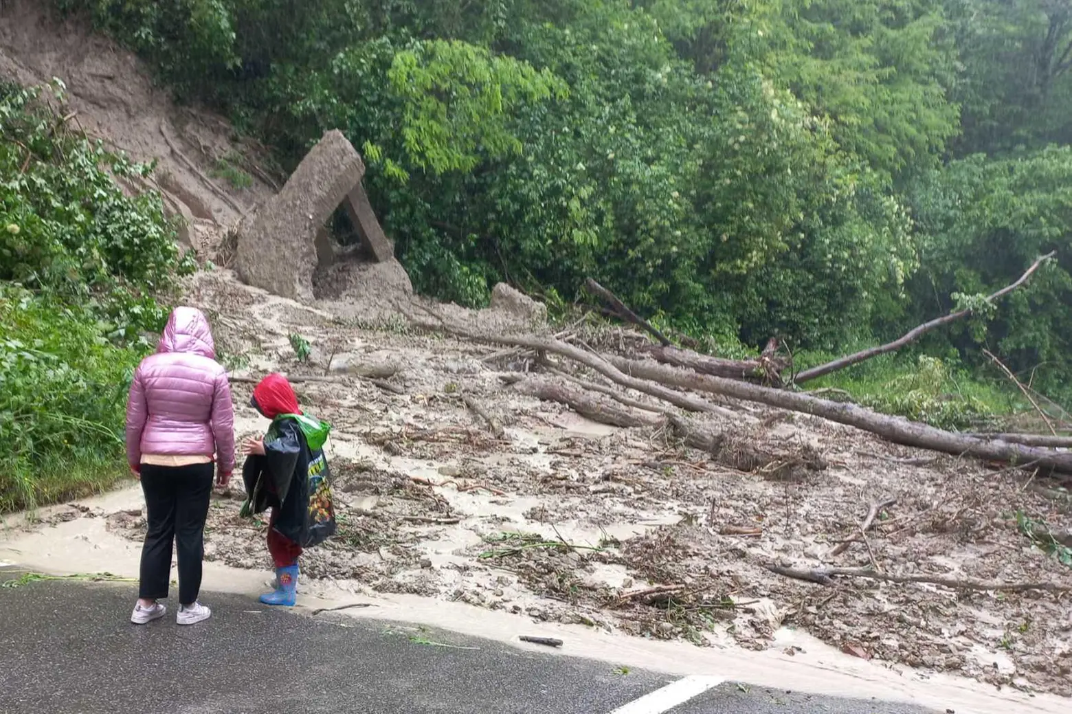 Le frane devastano la collina  Strade ostruite da tronchi e fango