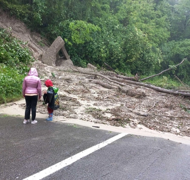 Le frane devastano la collina di Bologna: strade ostruite da tronchi e fango